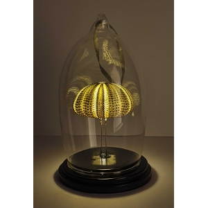 Verlicht Natuur Historische Decoratie. Zeeëgel